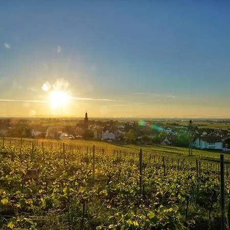 Gaestehaus Im Weingut Am Nil 宾馆 卡尔斯达特