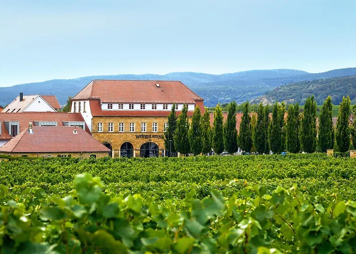 Gaestehaus Im Weingut Am Nil Estalagem