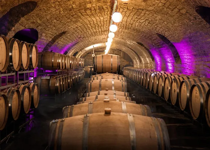 Gaestehaus Im Weingut Am Nil Estalagem