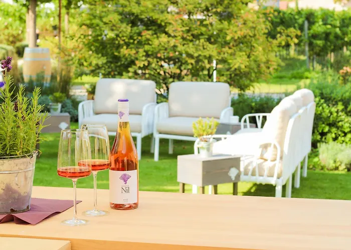 宾馆 Gaestehaus Im Weingut Am Nil 卡尔斯达特